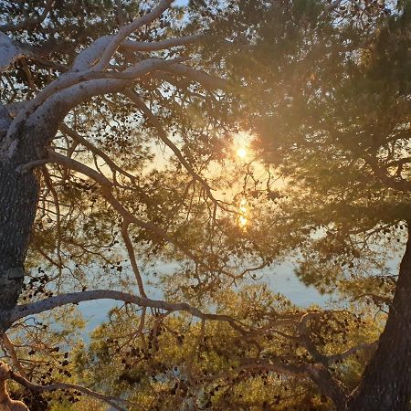 Apartment Miskovic Makarska Bagian luar foto