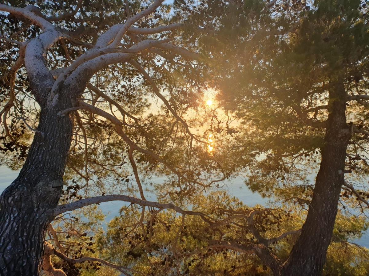 Apartment Miskovic Makarska Bagian luar foto