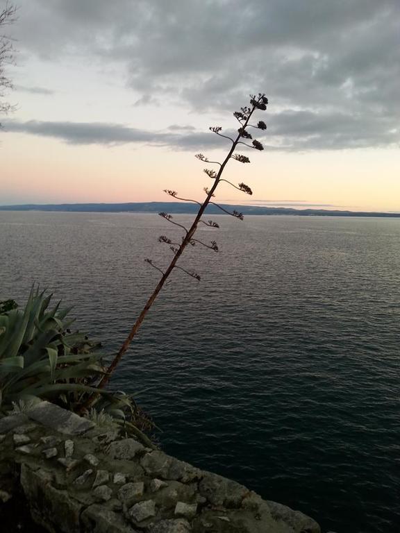 Apartment Miskovic Makarska Bagian luar foto